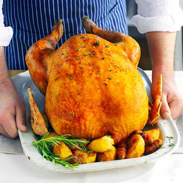 Bronze Turkey - Image 2